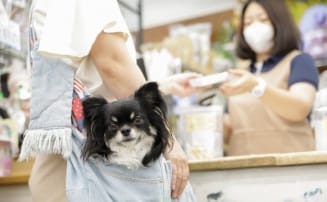 受付・ご予約